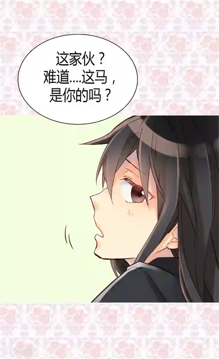 异世界皇妃第35话 挑选坐骑