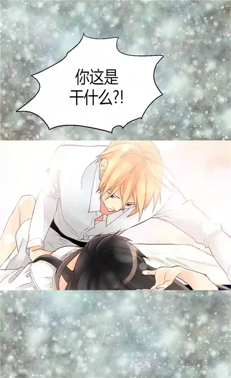 异世界皇妃第38话 重口味的帝王