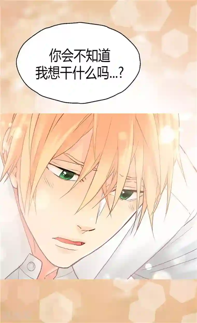 异世界皇妃第38话 重口味的帝王