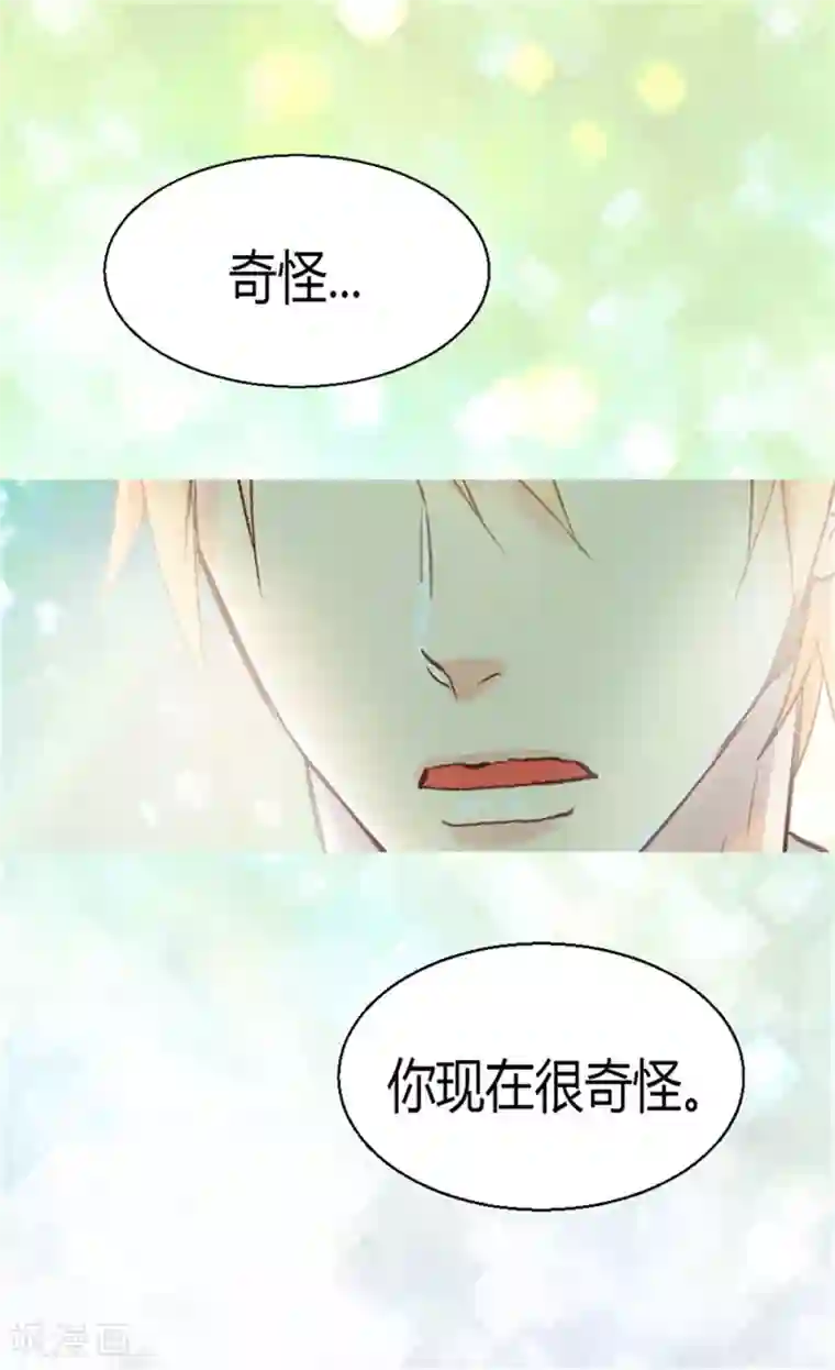 异世界皇妃第48话 友军的共同敌人