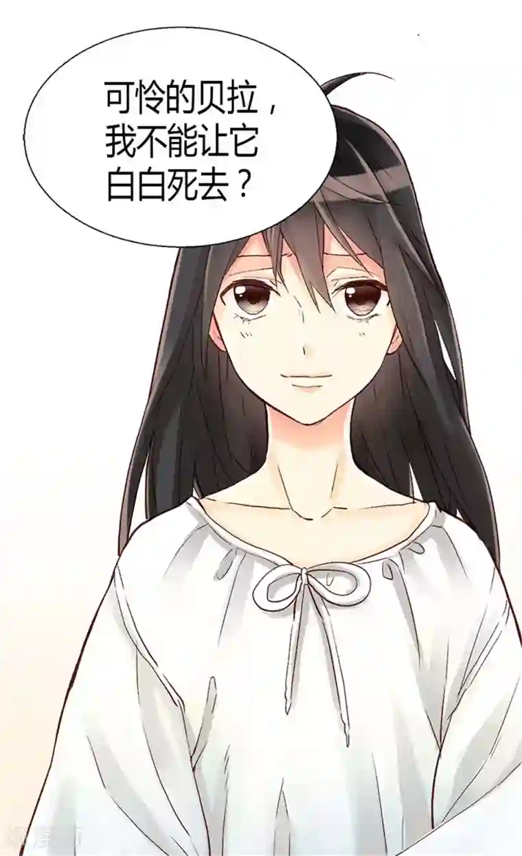 异世界皇妃第72话 活命的交易