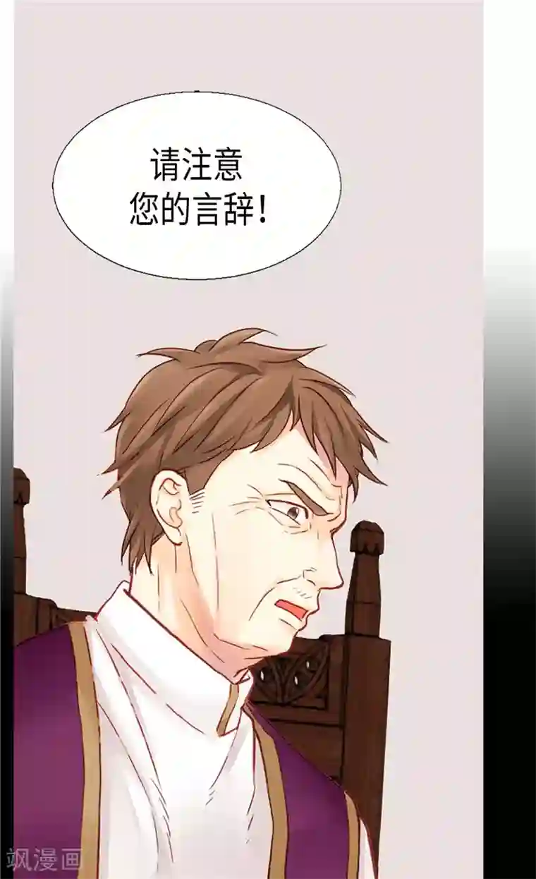 异世界皇妃第113话 枢密院会议