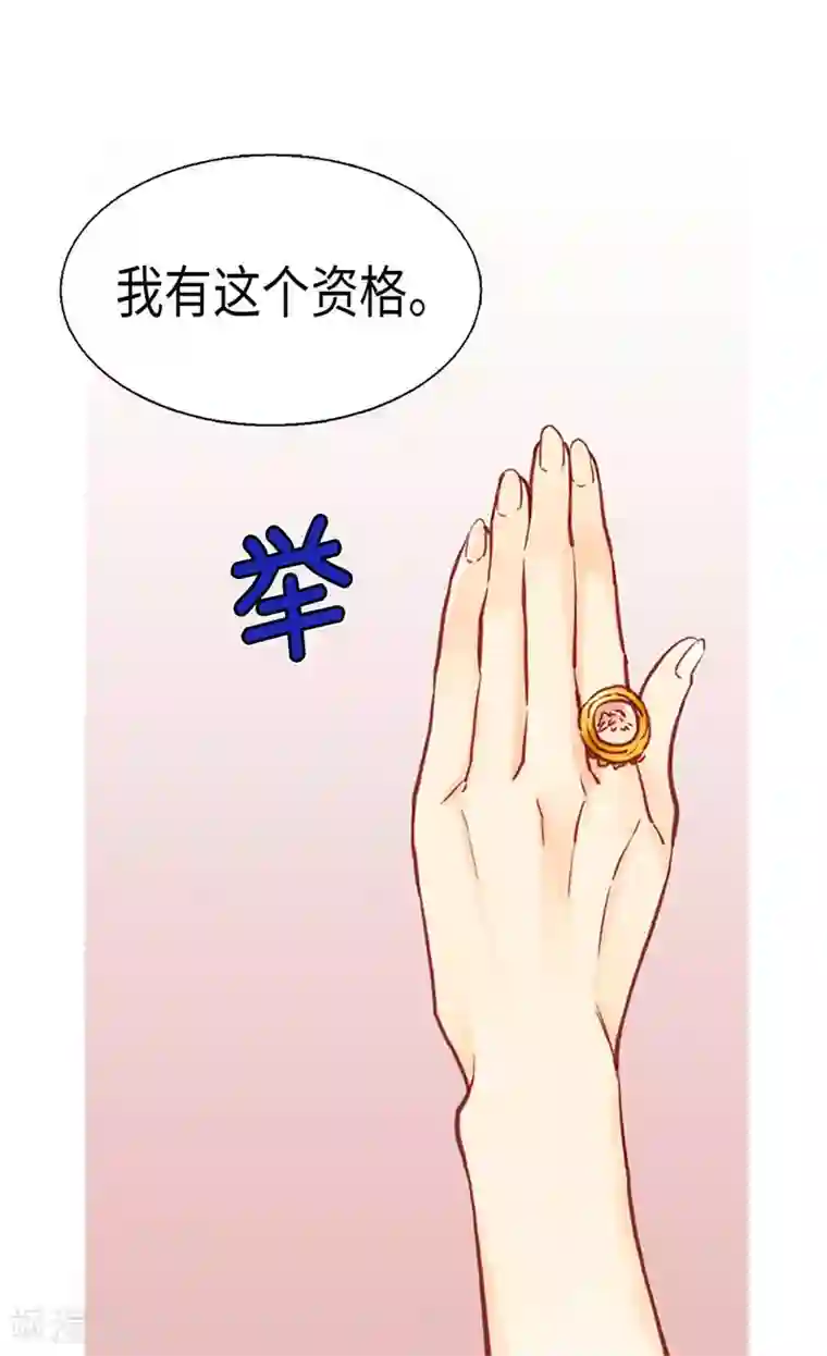 异世界皇妃第113话 枢密院会议