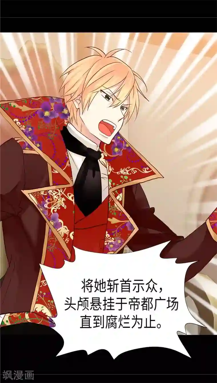 异世界皇妃第123话 叛乱党羽的裁决