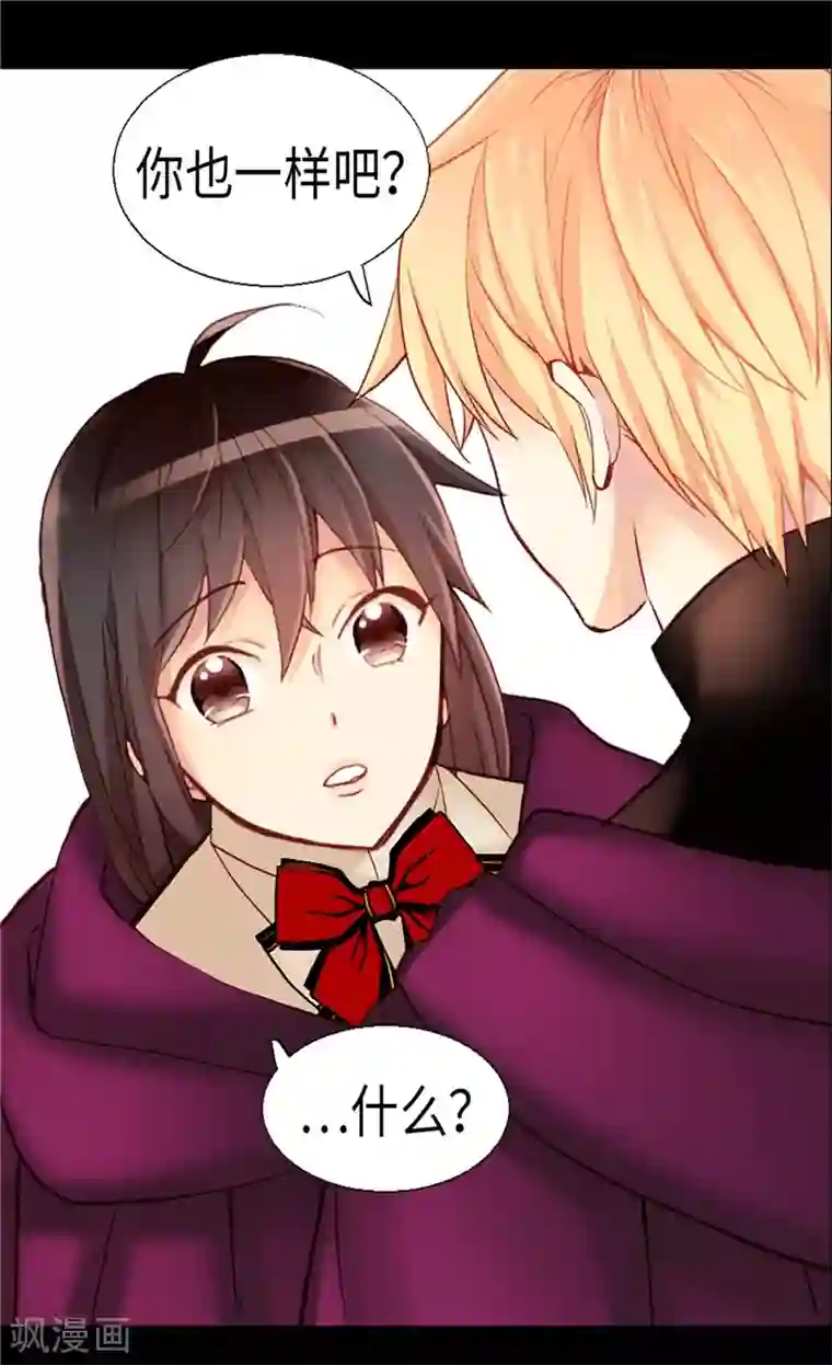 异世界皇妃第142话 皇室陵墓