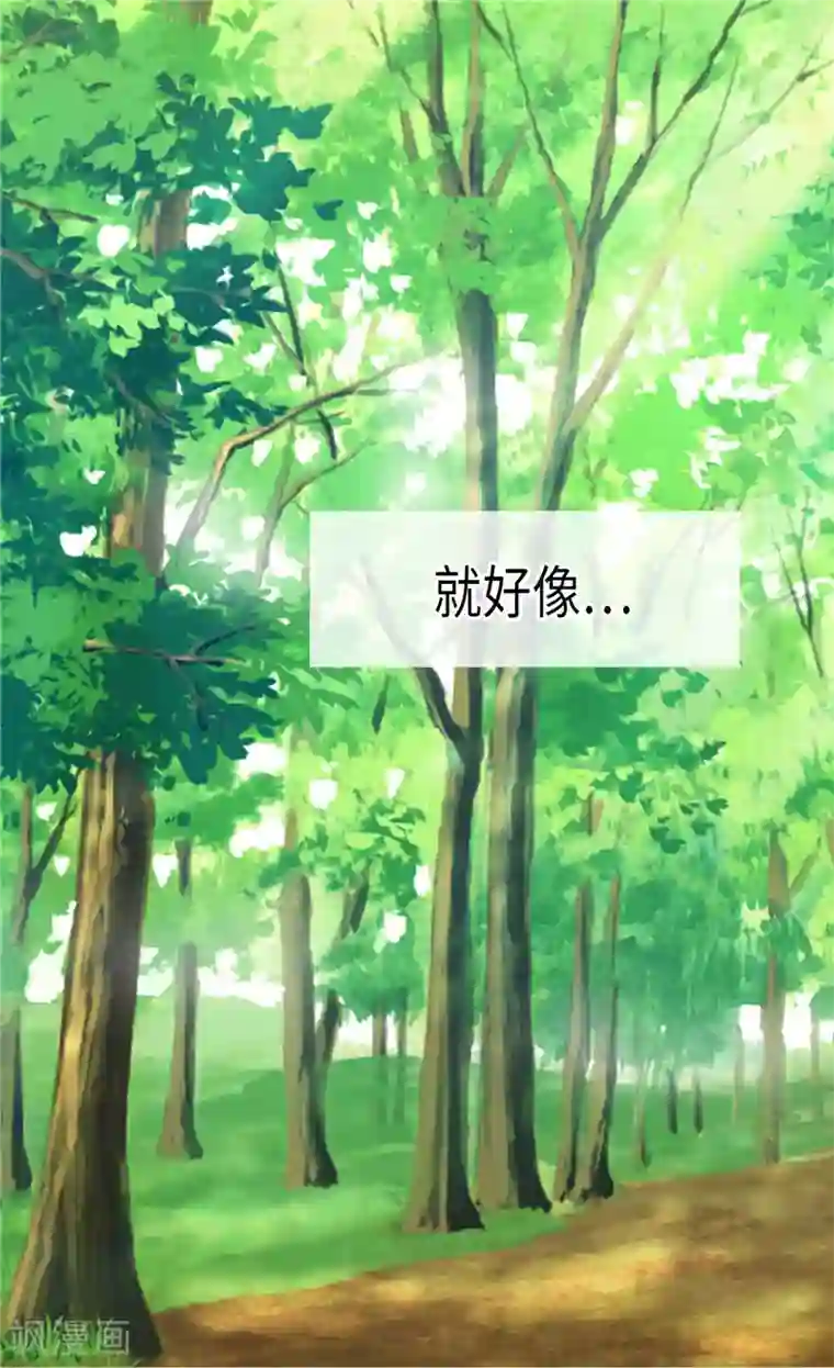 异世界皇妃第151话 短暂的新婚旅行