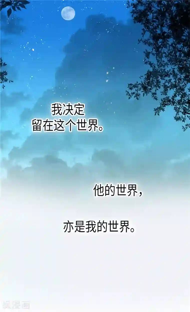 异世界皇妃第154话 属于我们的婚礼