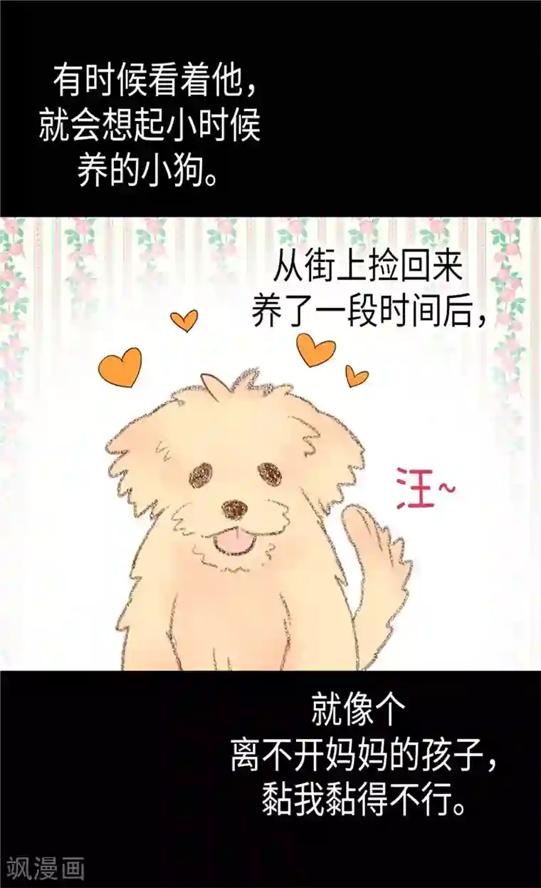 异世界皇妃第177话 彼此的担心