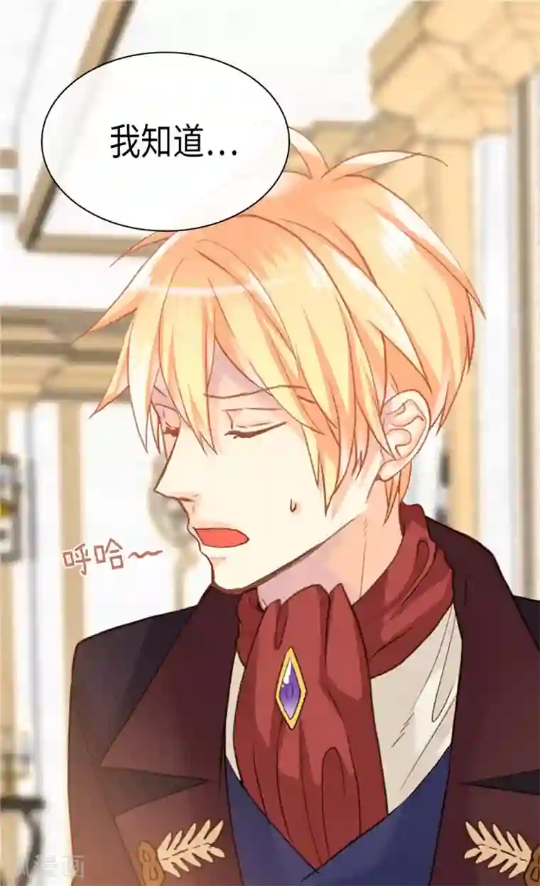 异世界皇妃第212话 护妻狂魔