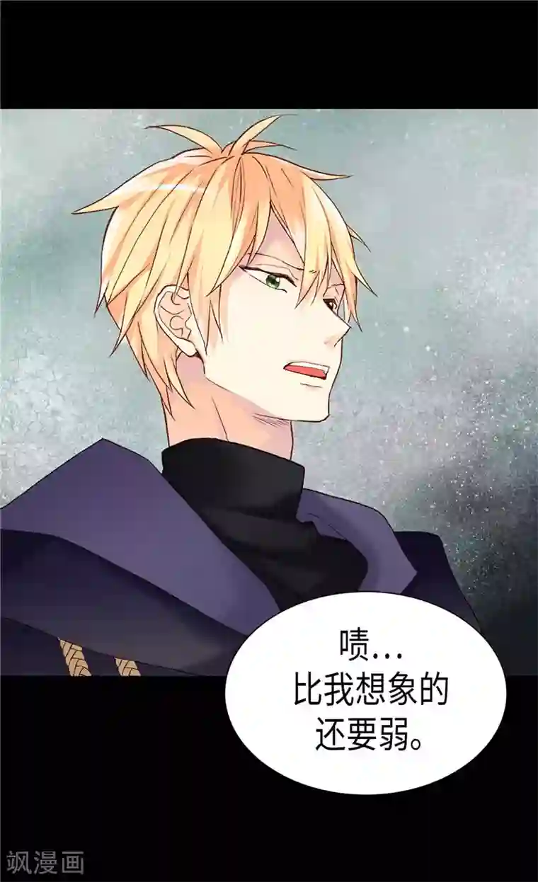 异世界皇妃第217话 怎么会轻易放过你