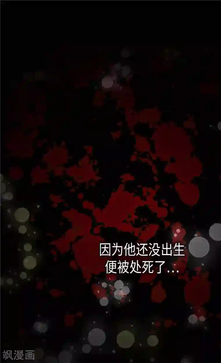 异世界皇妃第239话 历史总是惊人相似