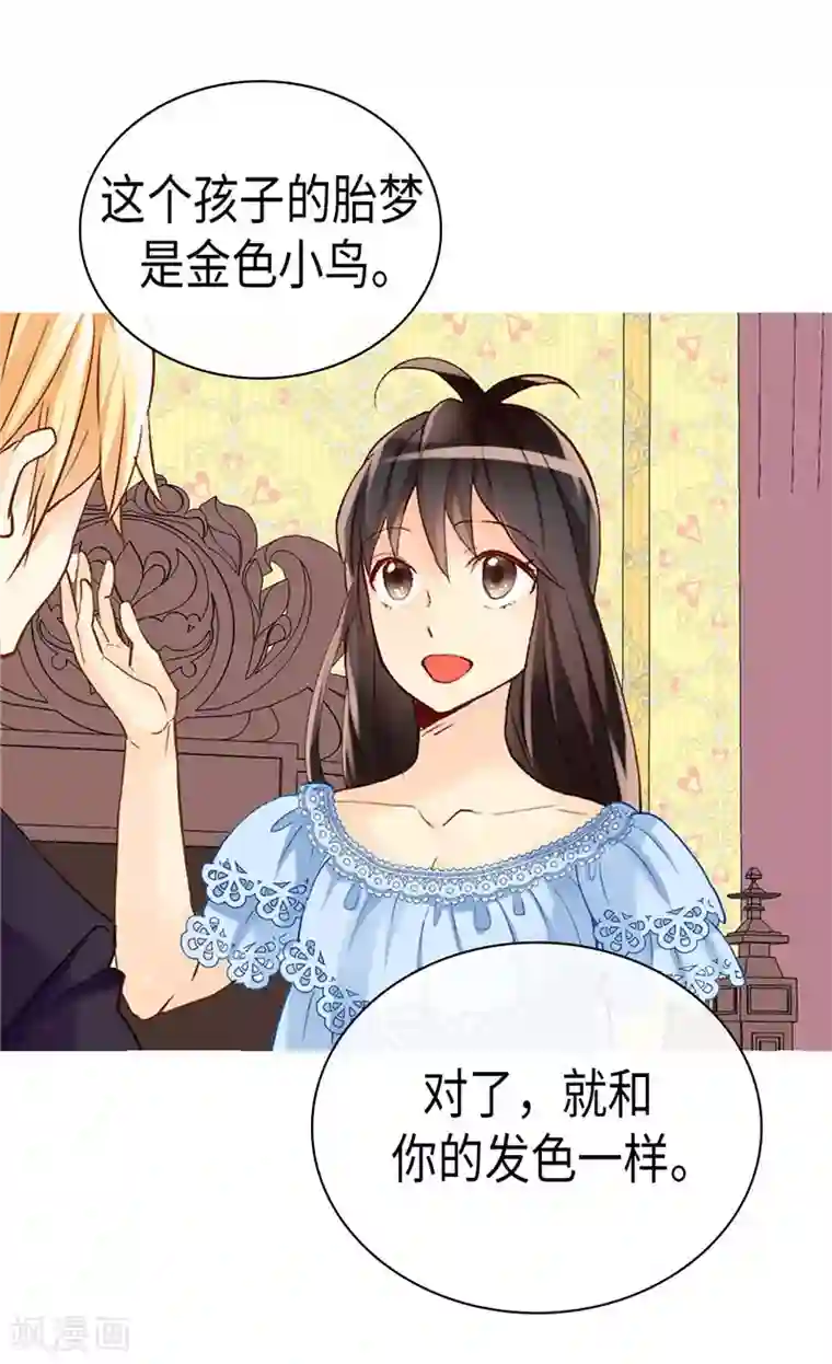 异世界皇妃第241话 胎梦