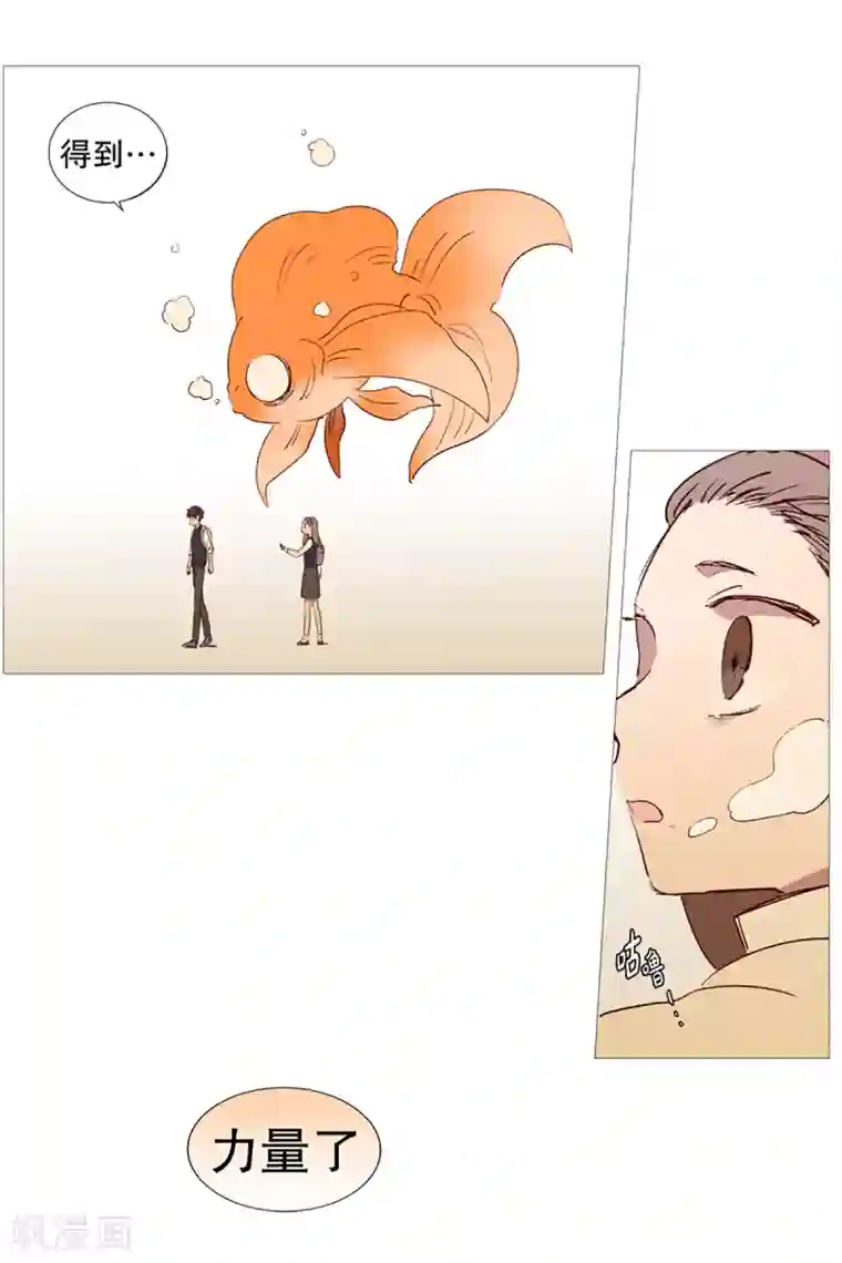 动物灵魂管理局第5话 登场