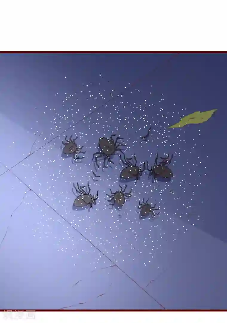 盛宠阴阳妃第62话 天地大劫