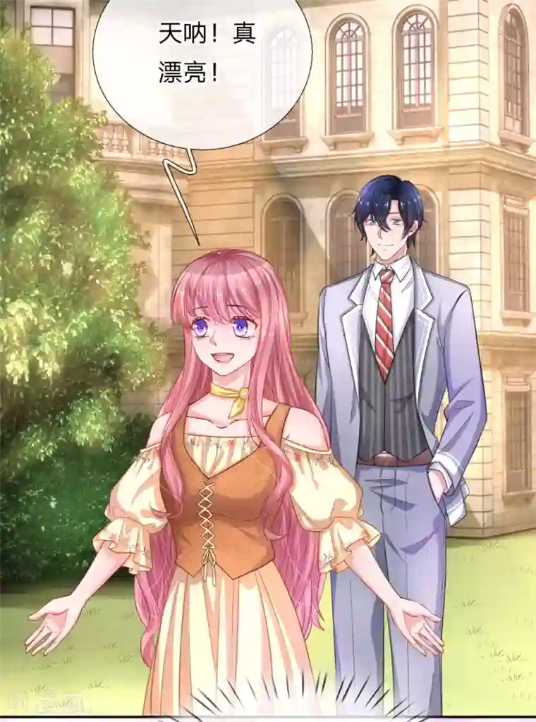 重生之影后谋略第215话 薰衣草花海