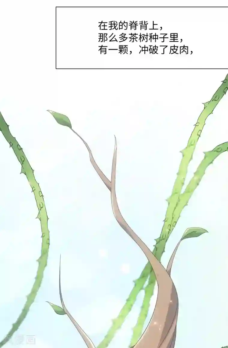 今天也没变成人第64话 人皮茶种