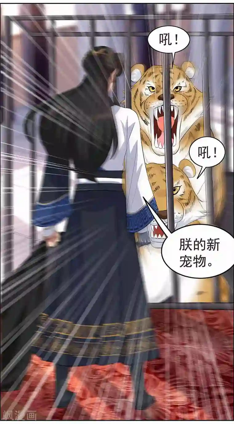 狂女重生：纨绔七皇妃第221话 新宠物