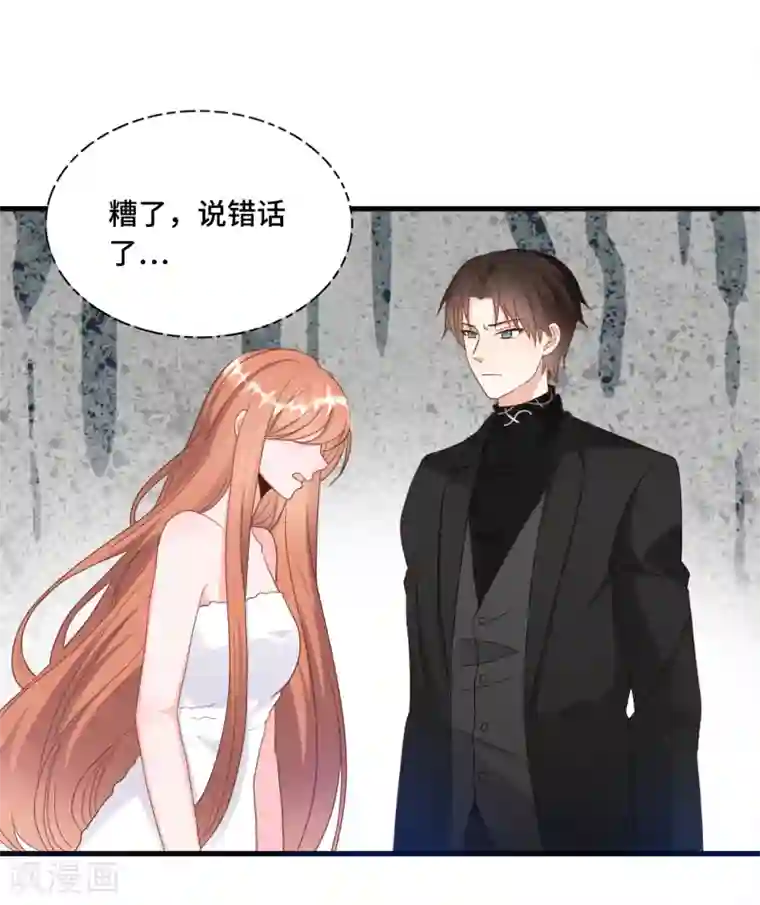 总裁爹地追上门第28话 林叶枫出事了