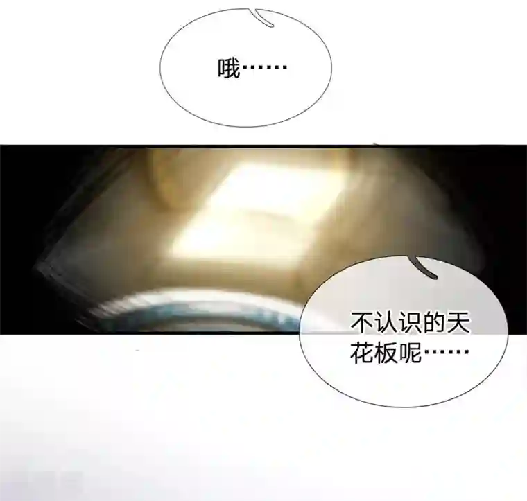 末世女友：我家后院通末世第36话 强化药剂的常识