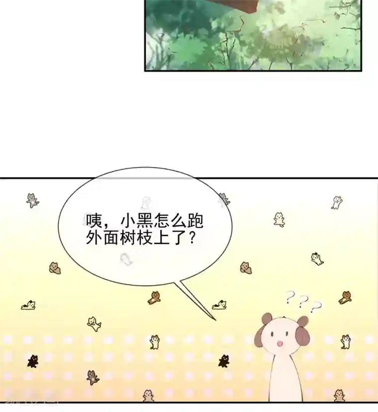 嗜血医妃第18话 “高贵”的白莲