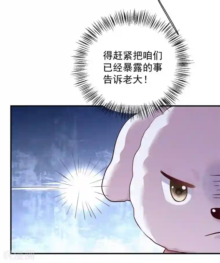 从此王爷不早朝第127话 放长线钓大鱼