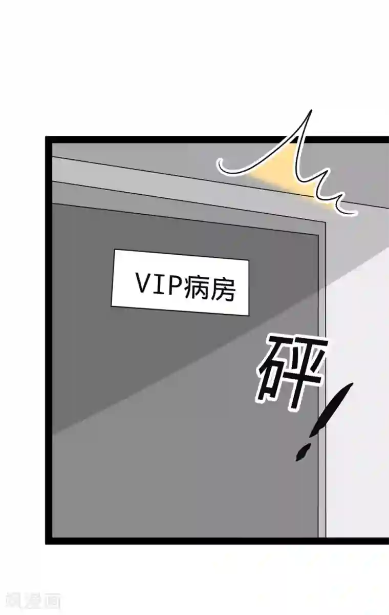 纯爱指令第145话