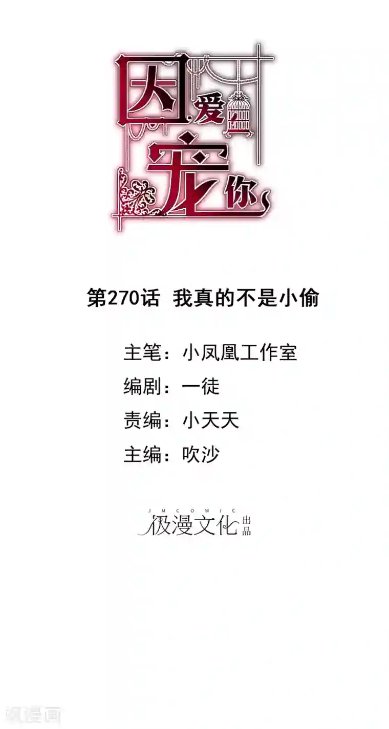 因爱宠你第270话