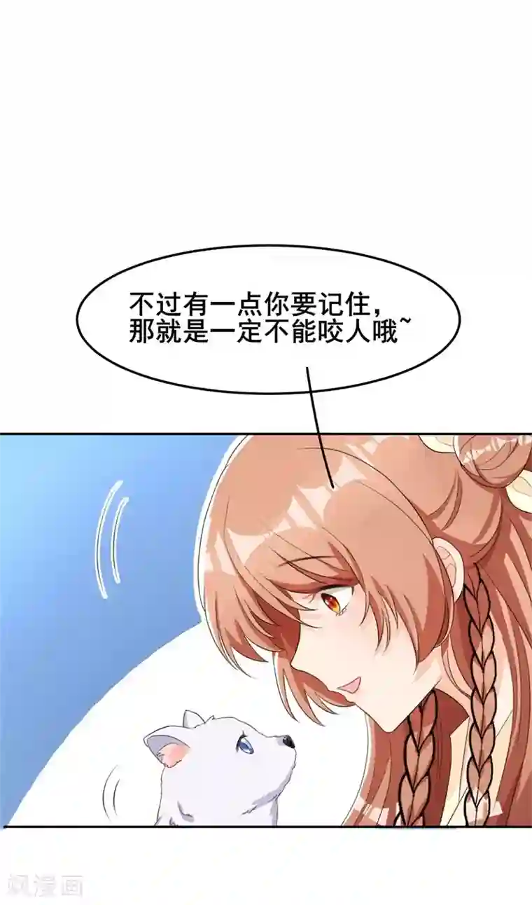 皇子夫君，我养你啊第22话 棉花，干得漂亮！
