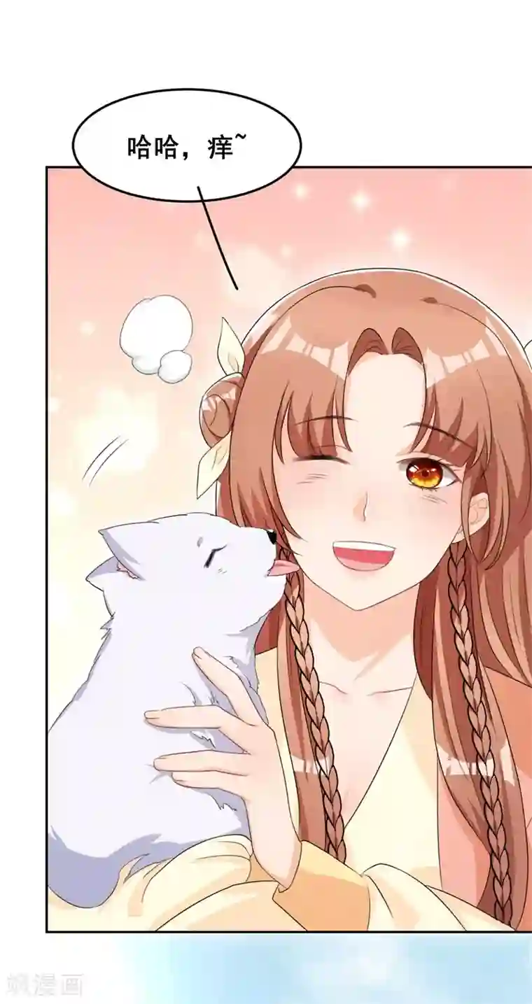 皇子夫君，我养你啊第22话 棉花，干得漂亮！