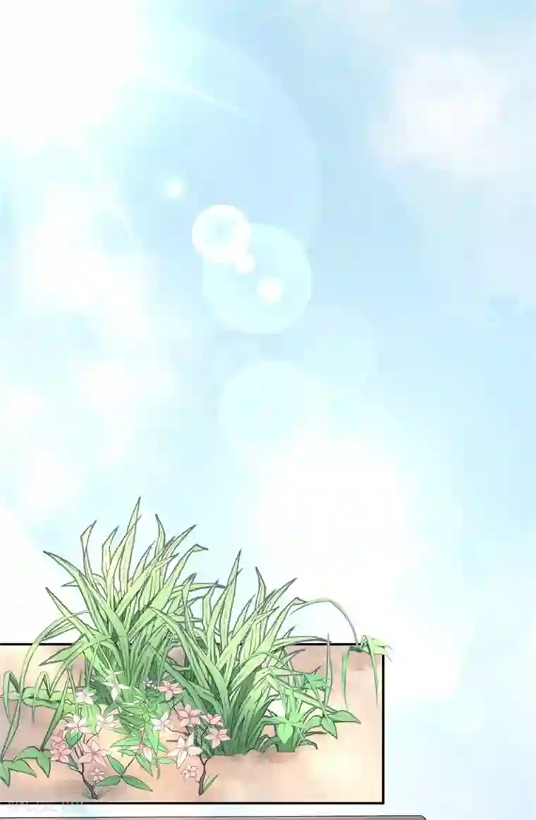 皇子夫君，我养你啊第22话 棉花，干得漂亮！