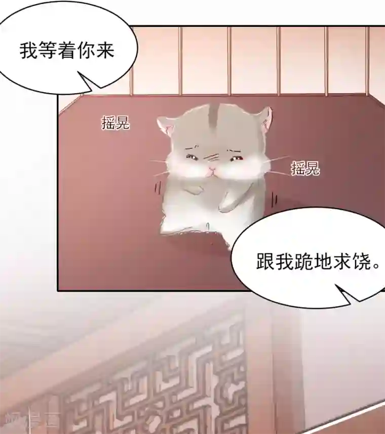 暴君别跑，公主要亡国第13话 是剧毒