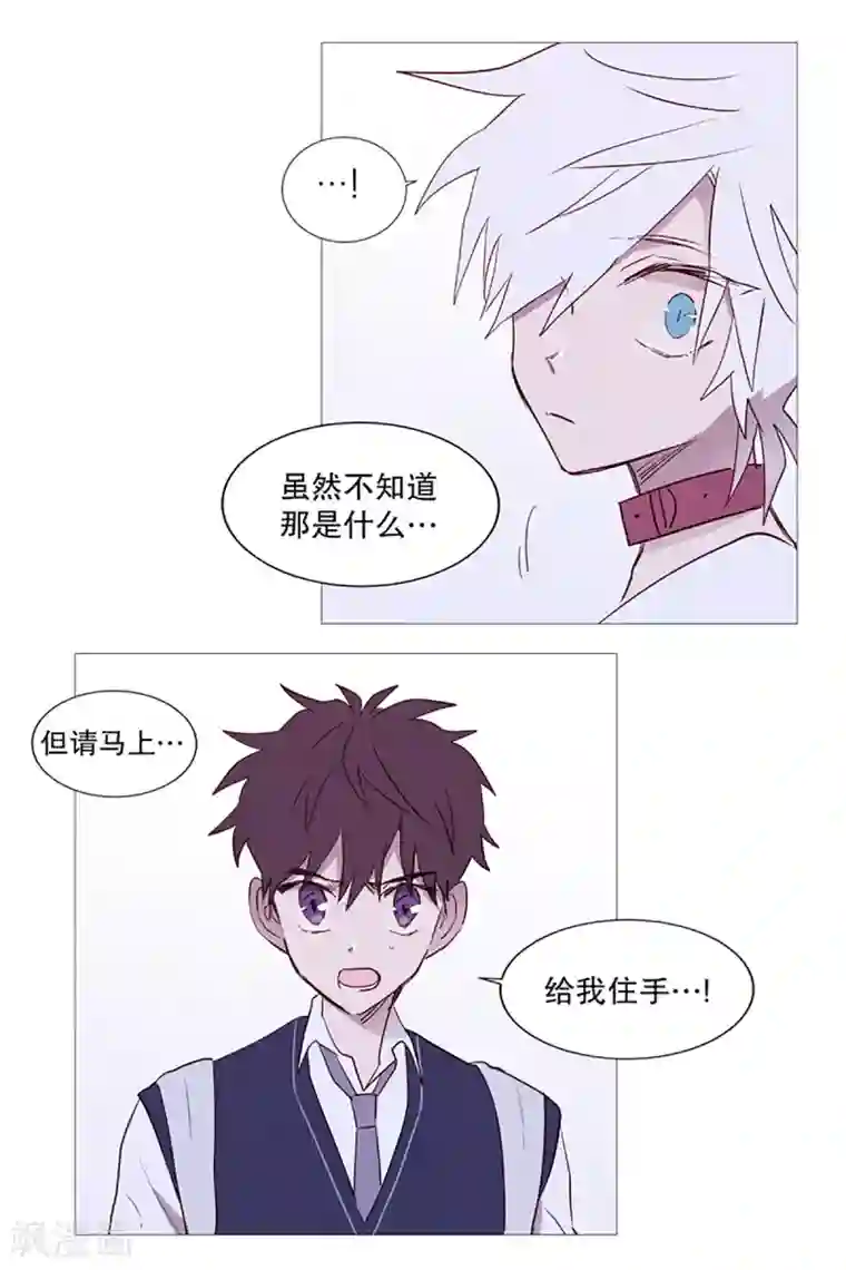 动物灵魂管理局第9话 白犬登场