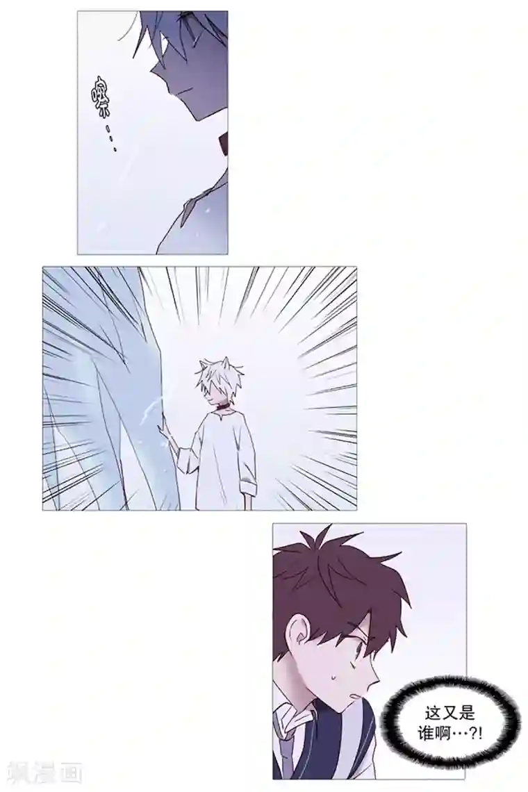 动物灵魂管理局第9话 白犬登场