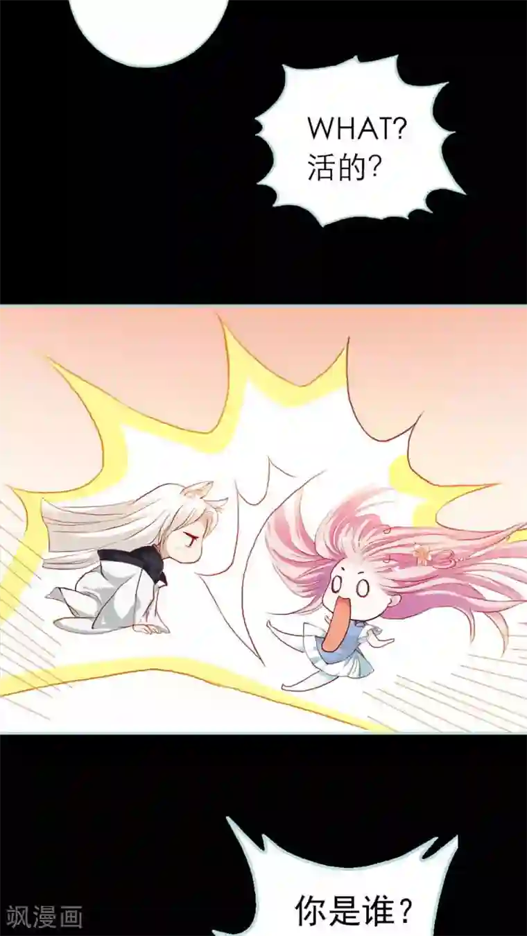 狐帝独爱：上仙求放过第3话 小恶女，这是我的桃花源