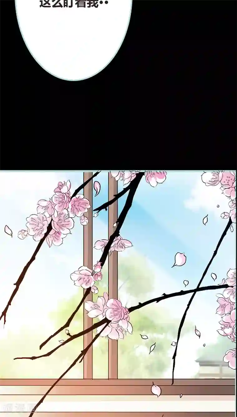 狐帝独爱：上仙求放过第38话 爱上我了？