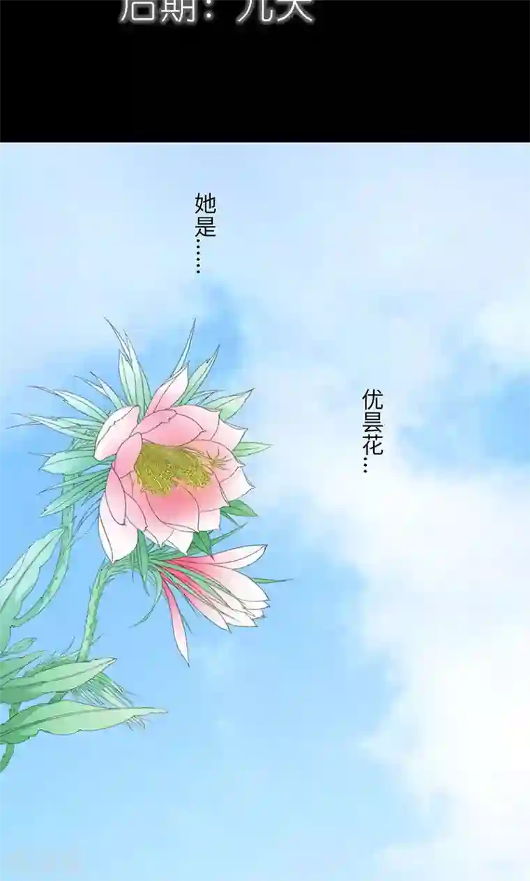 狐帝独爱：上仙求放过第83话 有你作伴不寂寞