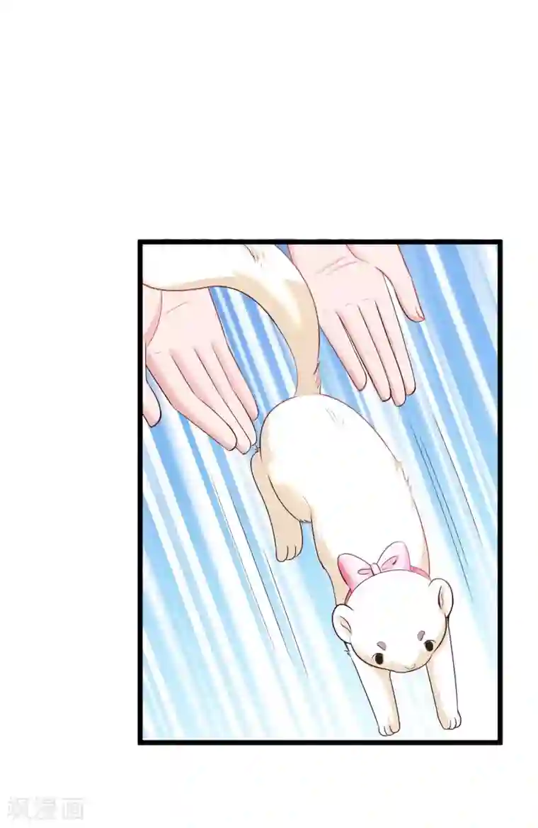 冰山总裁强宠婚第50话 他们都不是普通人！！！