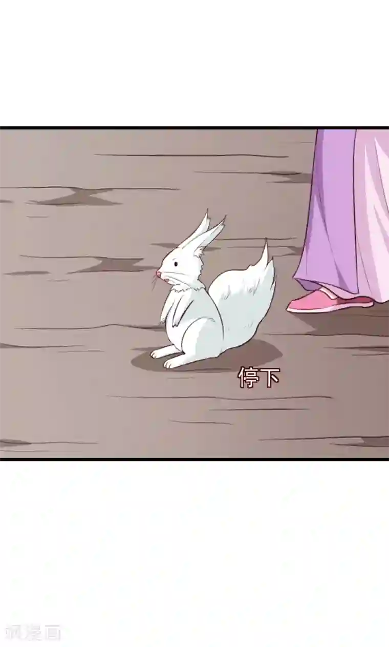 天才小毒妃之芸汐传奇第201话 谁说我们输了？