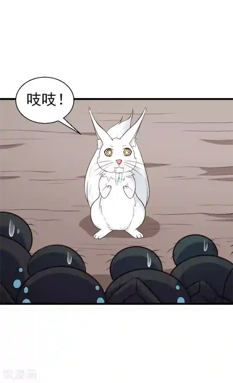 天才小毒妃之芸汐传奇第201话 谁说我们输了？