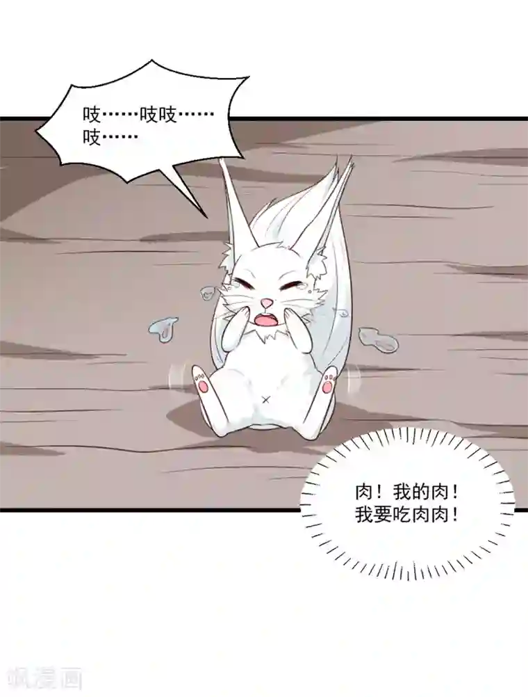 天才小毒妃之芸汐传奇第201话 谁说我们输了？