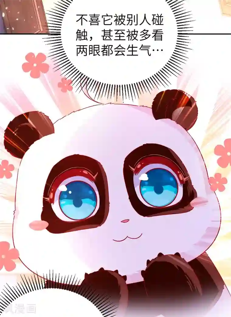 萌妃来袭：天降熊猫求抱抱第48话 还是不是男人啊？