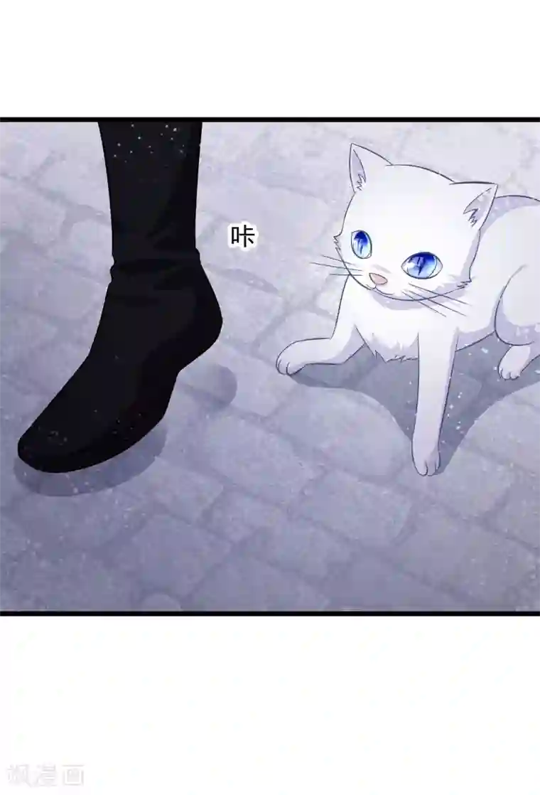 帝凰之神医弃妃第45话 三更半夜