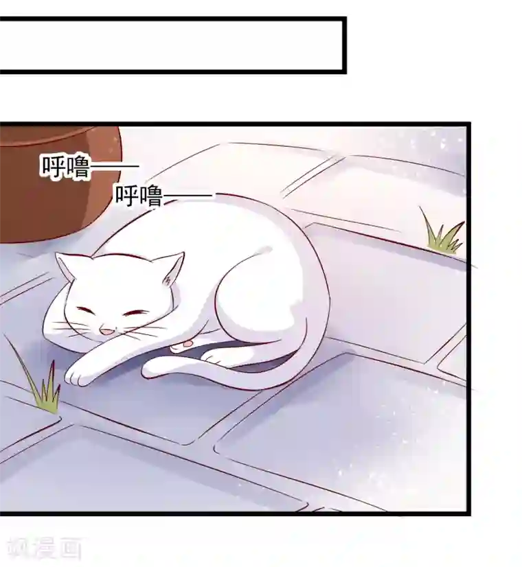 帝凰之神医弃妃第45话 三更半夜