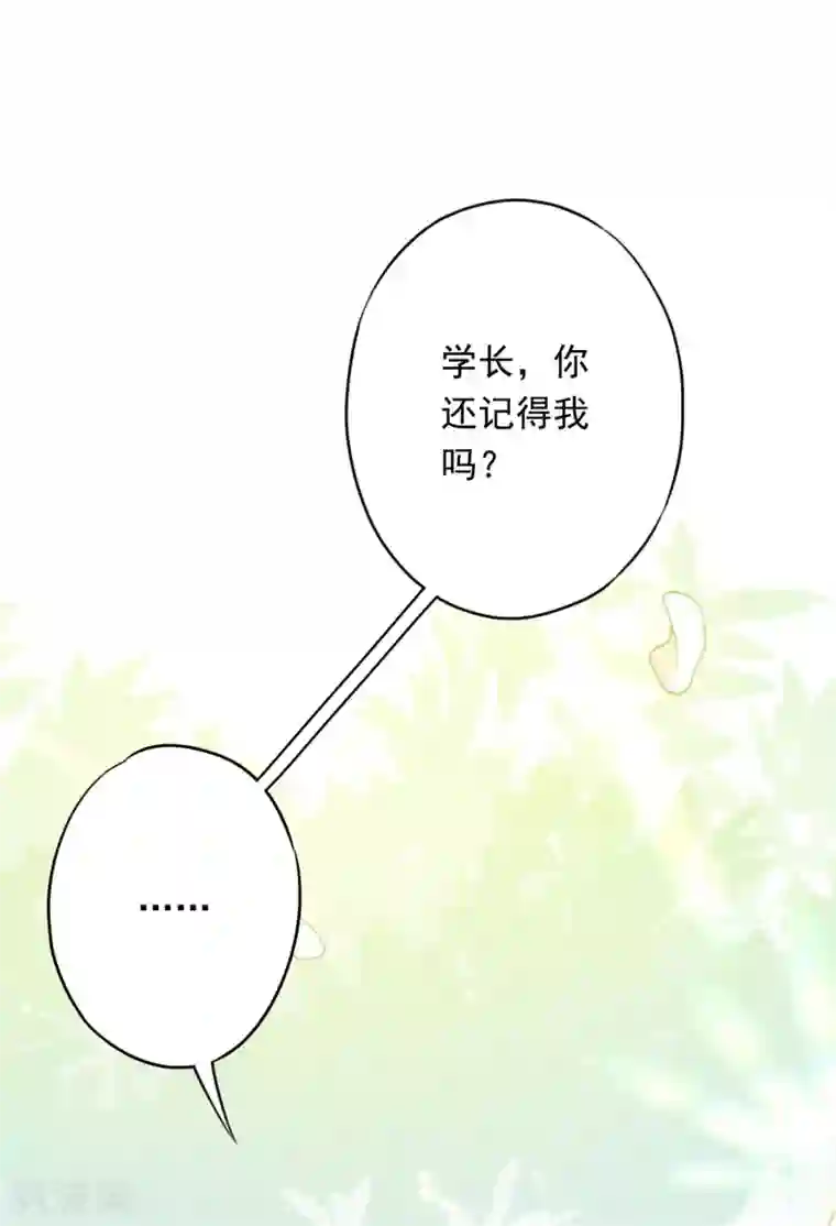 少帅,你老婆要翻天!第47话 嫉妒使人疯狂