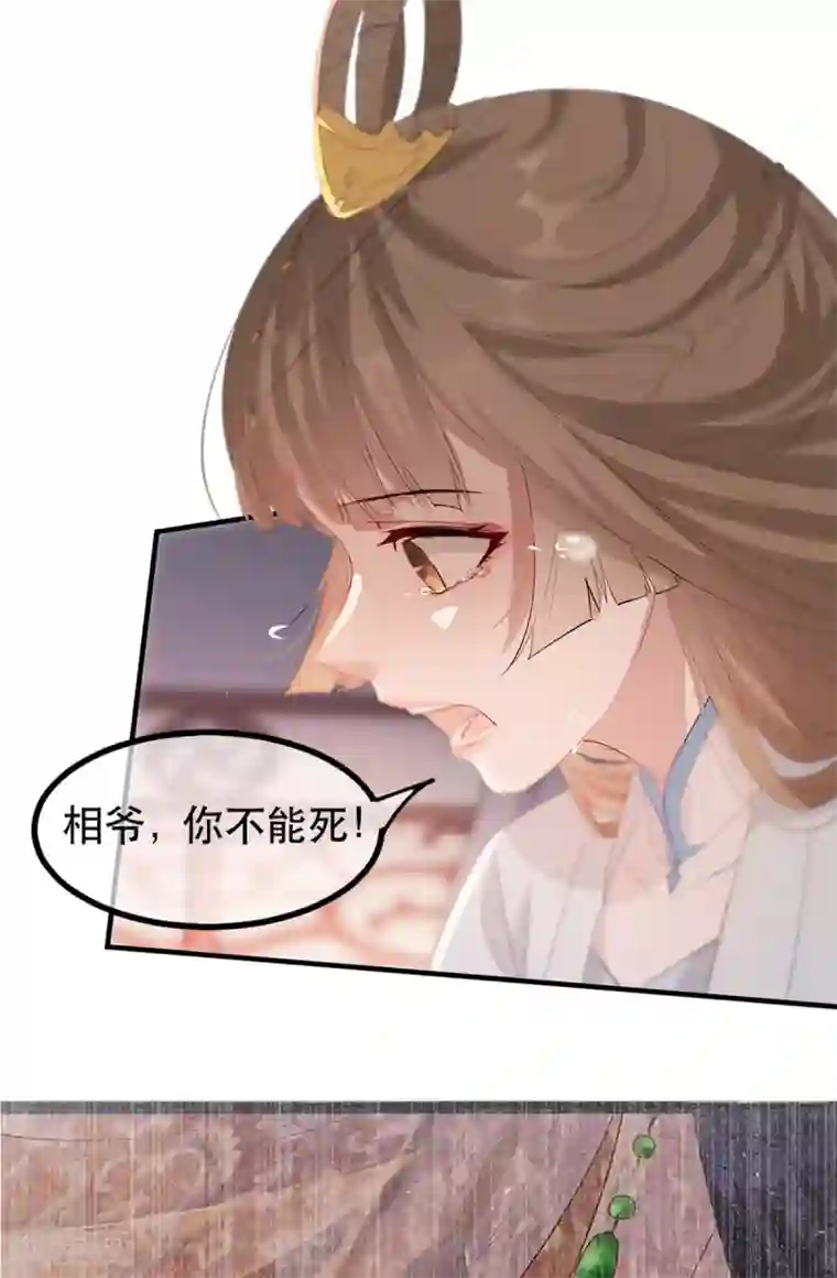 奸妃如此多娇第63话 相爷病危！