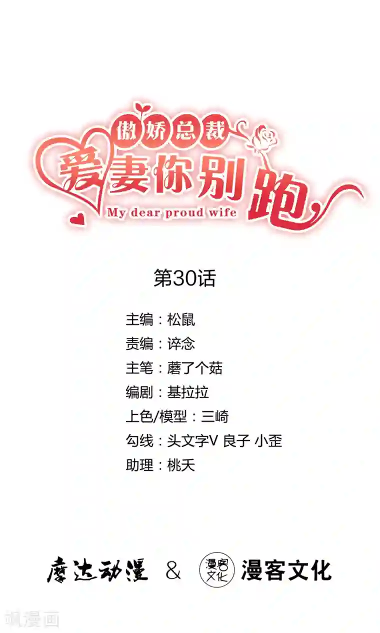 傲娇总裁:爱妻你别跑第30话 遇难