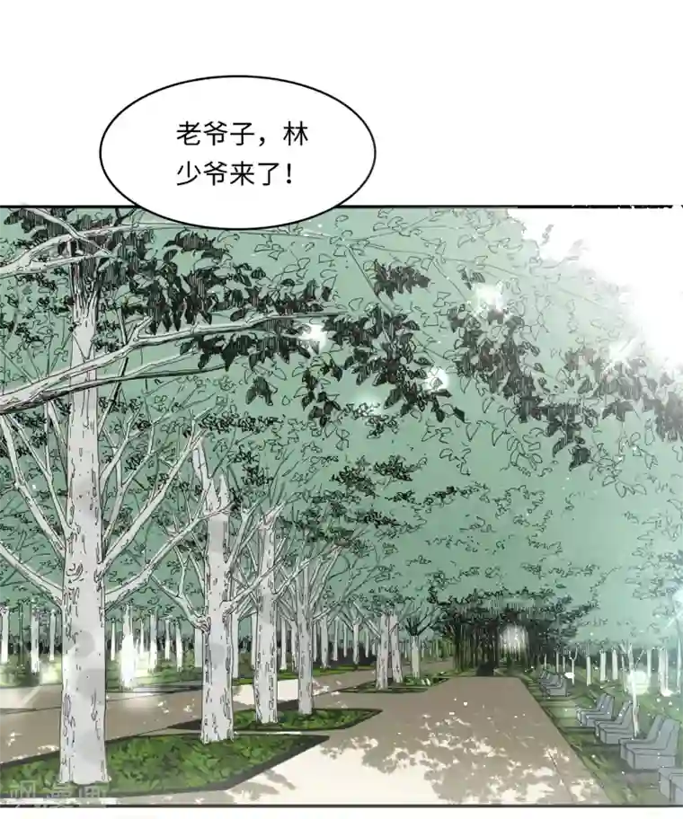 总裁爹地追上门第32话 住进林家的女人