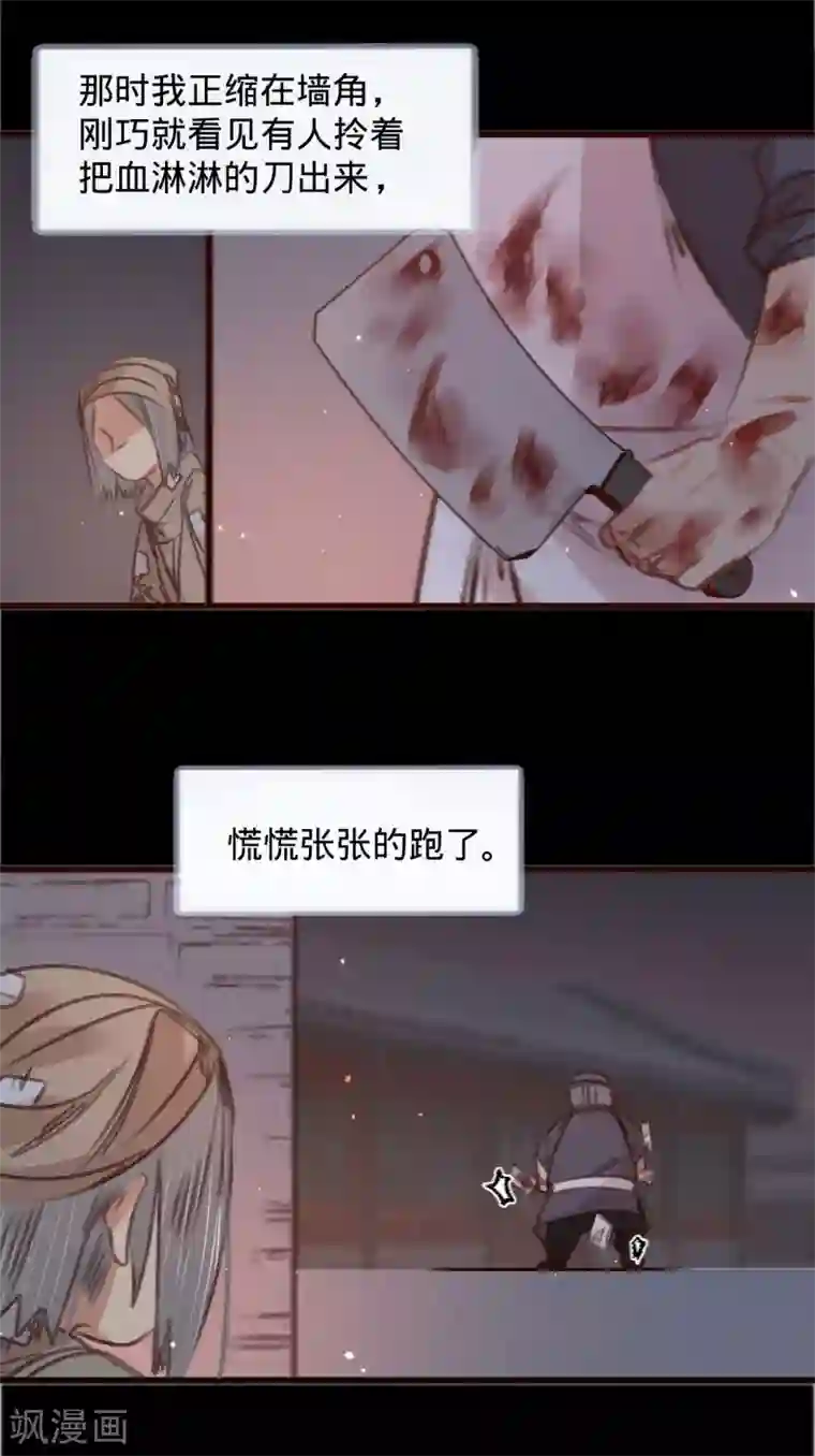 凤还朝，妖孽王爷请让道第55话 目击证人