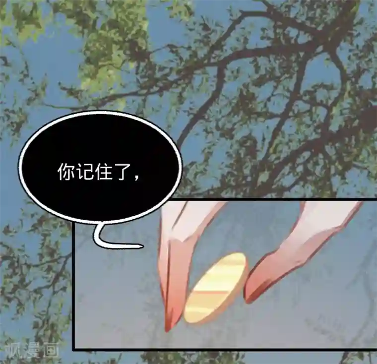 凤还朝，妖孽王爷请让道第56话 水落石出
