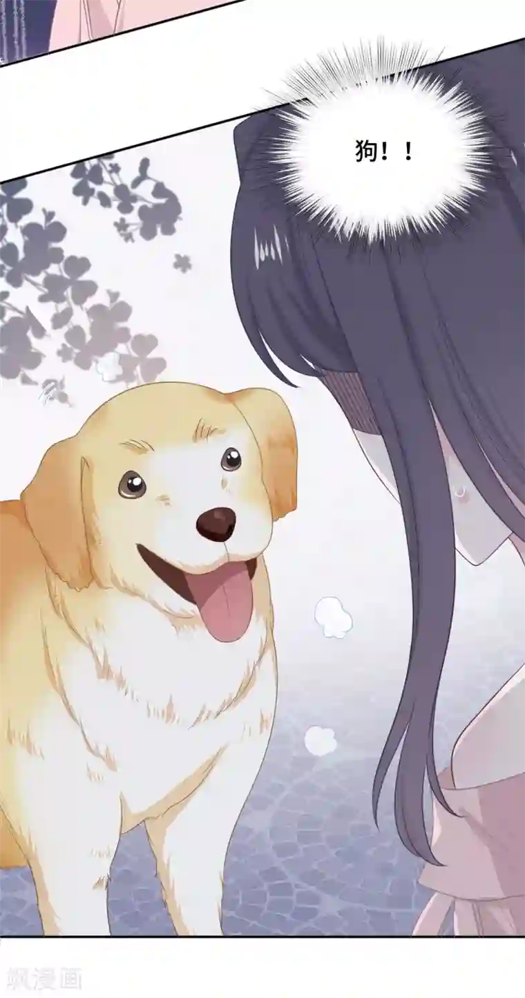 隔壁那个饭桶第24话 黏人